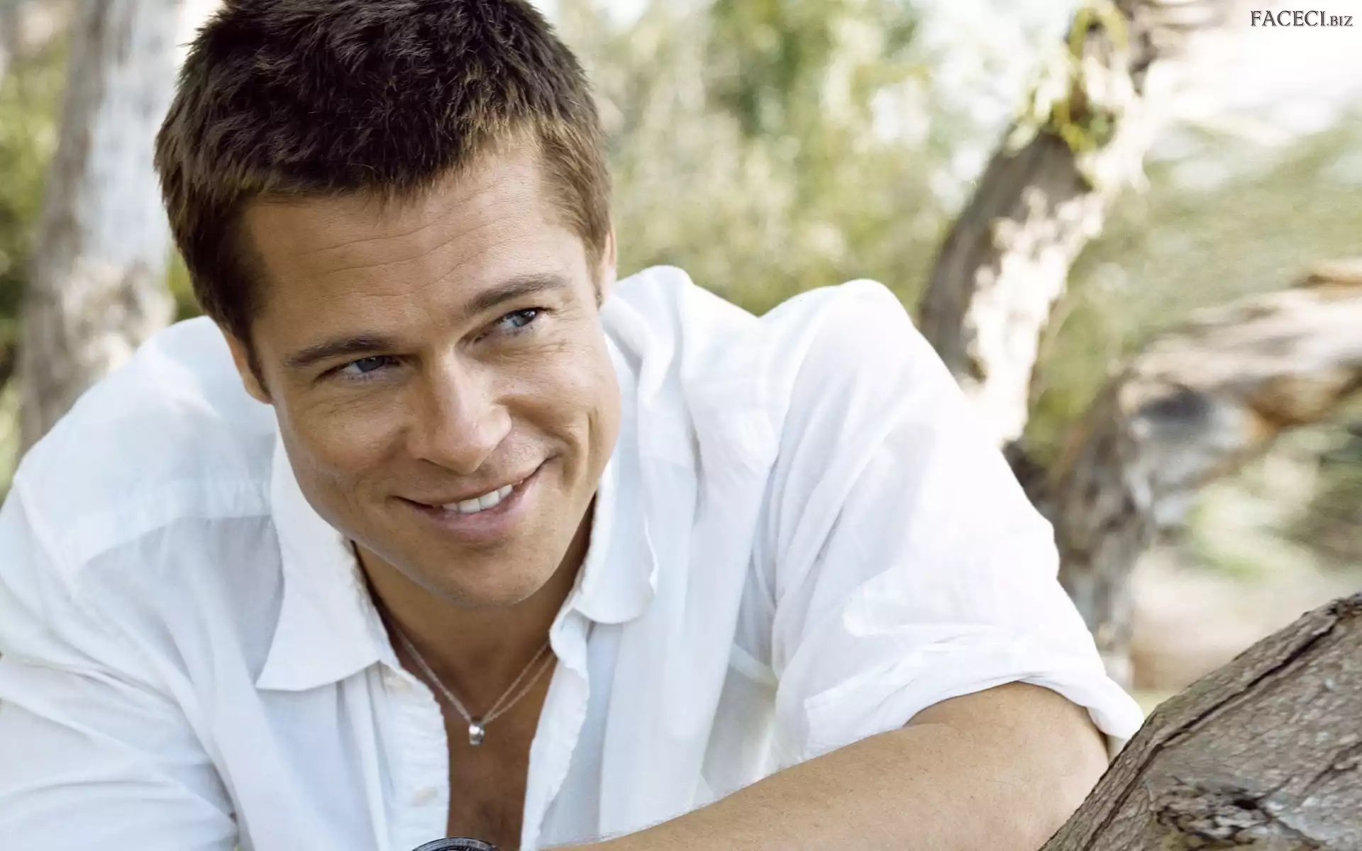 Koszula, Twarz, Uśmiechnięty, Brad Pitt, Biała, Mężczyzna, Aktor